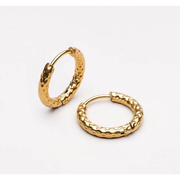 Atolea Hammered Hoop Earrings - Picture 1 of 5